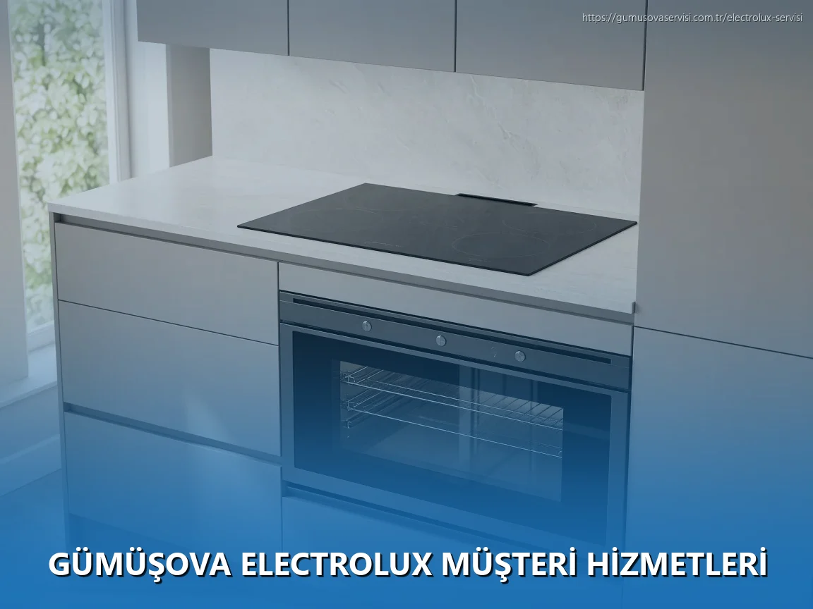 Gümüşova Electrolux Müşteri Hizmetleri