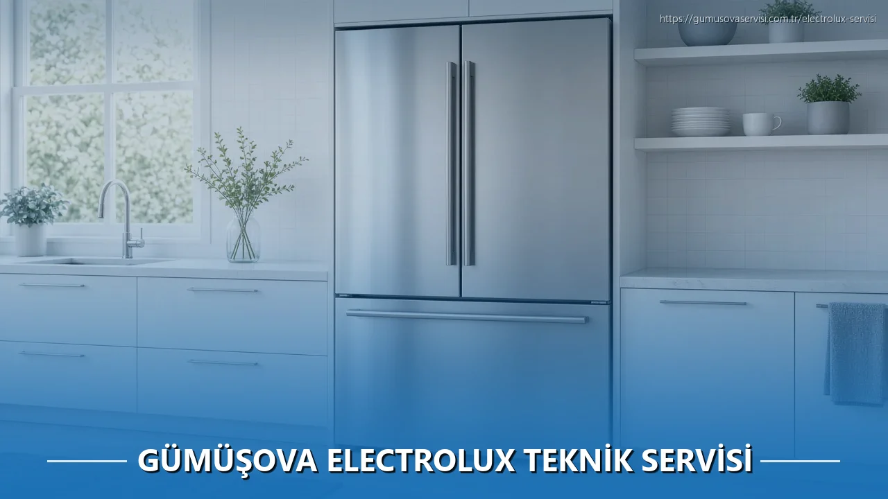 Gümüşova Electrolux Teknik Servisi