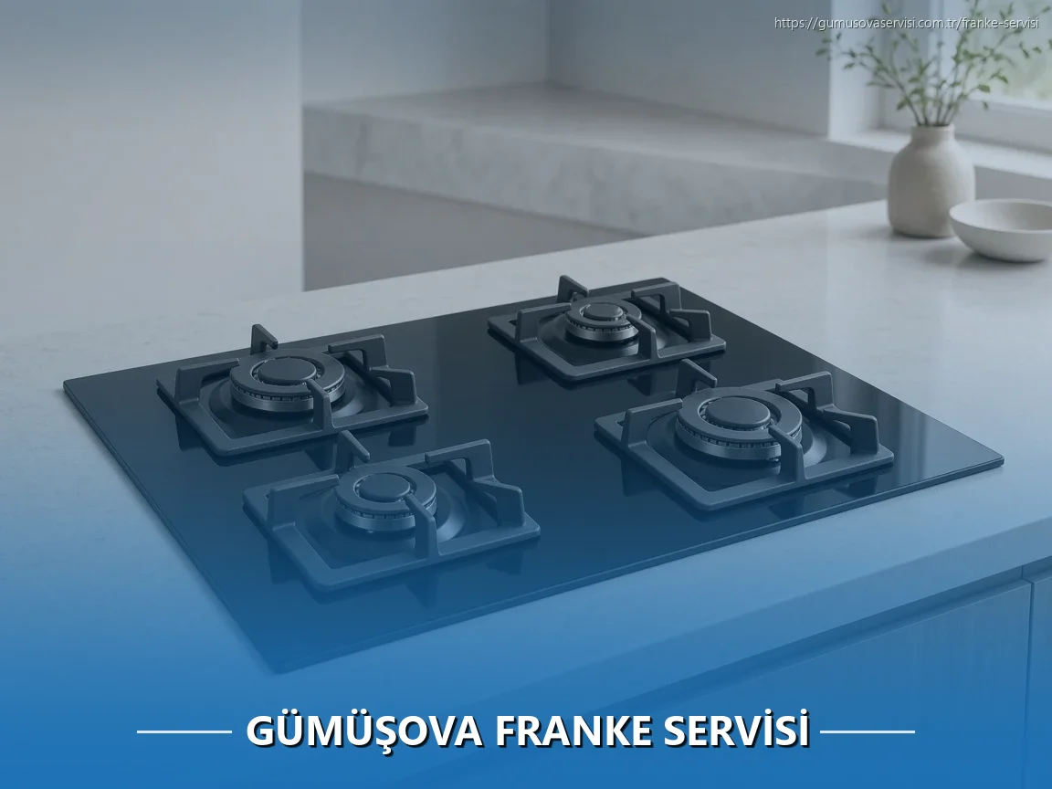 Gümüşova Franke Servisi