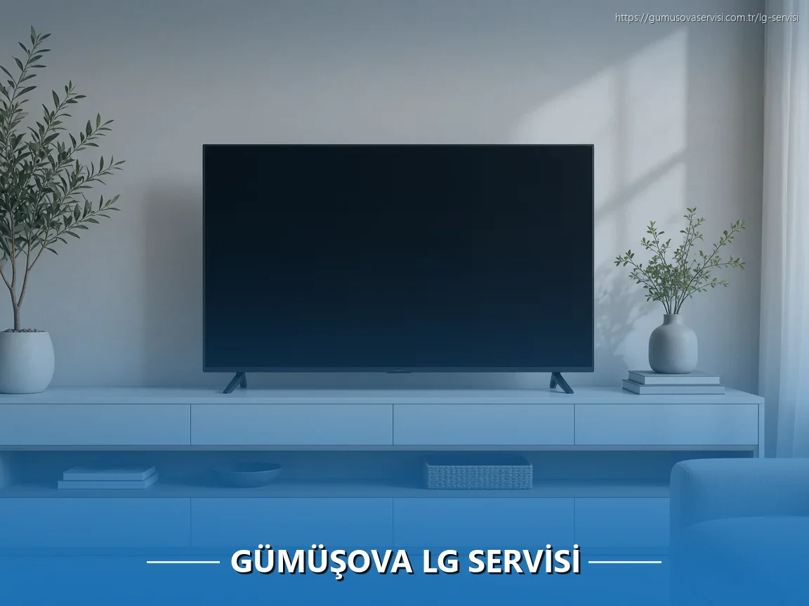 Gümüşova LG Servisi