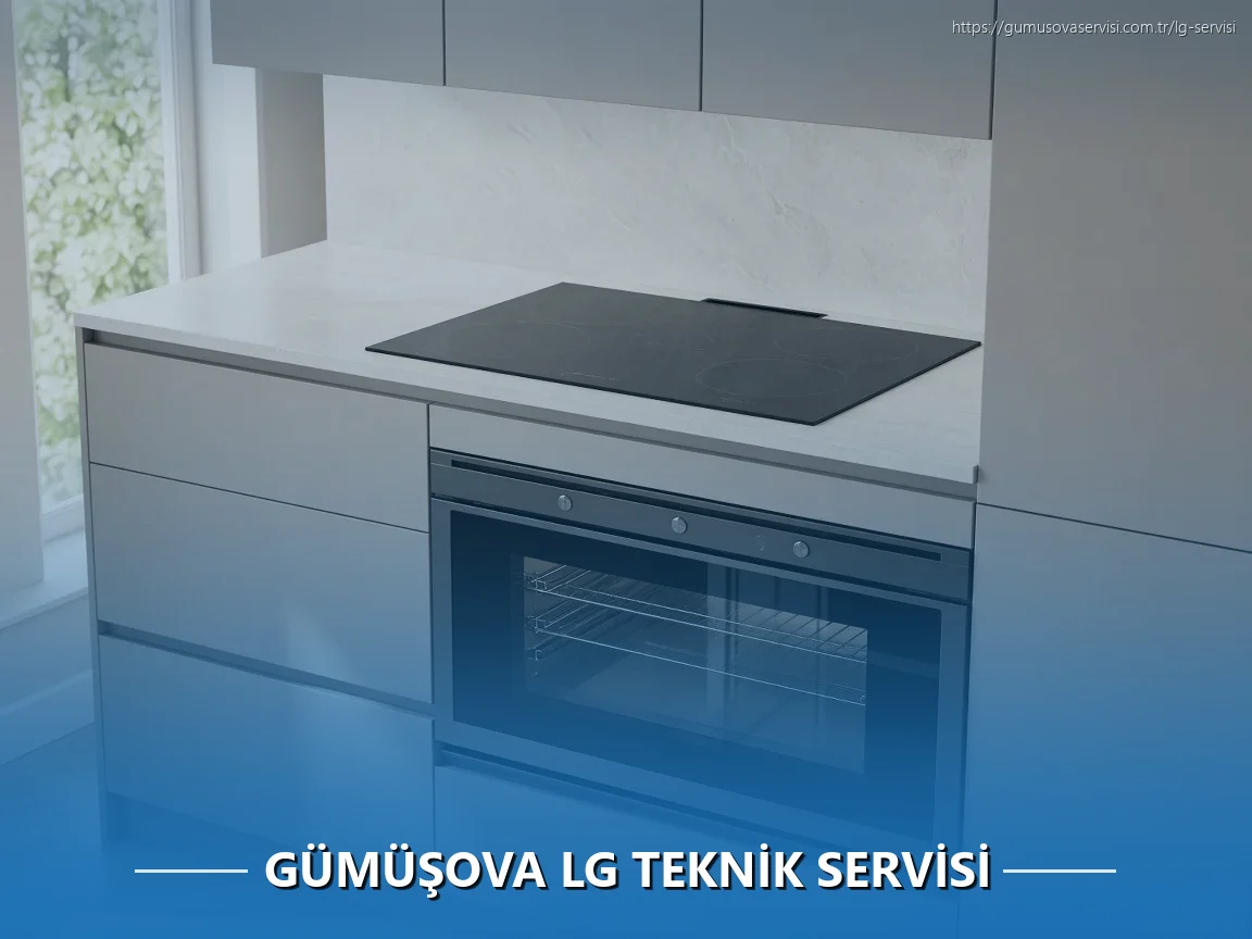 Gümüşova LG Teknik Servisi
