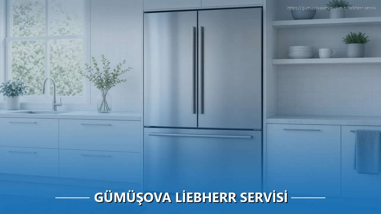 Gümüşova Liebherr Servisi